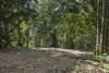 Lot 2, 2046 Mount Glorious Road, Mount Glorious, Qld 4520-Image