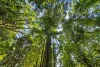 Lot 2, 2046 Mount Glorious Road, Mount Glorious, Qld 4520-Image