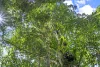 Lot 2, 2046 Mount Glorious Road, Mount Glorious, Qld 4520-Image