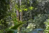 Lot 2, 2046 Mount Glorious Road, Mount Glorious, Qld 4520-Image