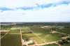 Lot 2 - 276 Thiele Road, Barmera, SA 5345-Image