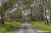 Lot 2 & 3 104 McNiffs Road, Redesdale, Vic 3444-Image