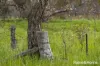 Lot 2 & 3 104 McNiffs Road, Redesdale, Vic 3444-Image