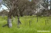 Lot 2 & 3 104 McNiffs Road, Redesdale, Vic 3444-Image