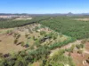Lot 2 & 3, 195 Neils Road, Bondoola, Qld 4703-Image