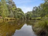 Lot 2 & 3, 90 Gulf Road, Liffey, Tas 7301-Image