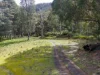 Lot 2 & 3, 90 Gulf Road, Liffey, Tas 7301-Image