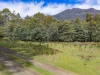 Lot 2 & 3, 90 Gulf Road, Liffey, Tas 7301-Image