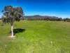 Lot 2/, 30 Narrango Road, Rylstone, NSW 2849-Image