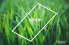 Lot 2, 34 Elizabeth Road, Creswick, Vic 3363-Floorplan