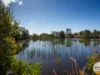 Lot 2/363 Diamond Beach Road, Diamond Beach, NSW 2430-Image