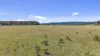 Lot 2, 385 Jerula Road, Mozart, NSW 2787-Image