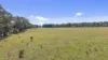 Lot 2, 385 Jerula Road, Mozart, NSW 2787-Image