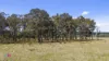 Lot 2, 385 Jerula Road, Mozart, NSW 2787-Image