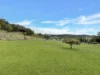 Lot 2/43 Ettrick Road, Kyogle, NSW 2474-Image