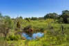 Lot 2, 470 Zig Zag Road, Drummond North, Vic 3446-Image