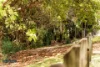 Lot 2, 8 Danube Drive, Strathpine, Qld 4500-Image