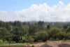 Lot 2 "Acres on Taylor", Veteran, Qld 4570-Image