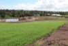 Lot 2 "Acres on Taylor", Veteran, Qld 4570-Image