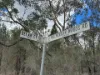 Lot 2, Belar Court, Millmerran Woods, Qld 4357-Image