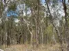Lot 2, Belar Court, Millmerran Woods, Qld 4357-Image