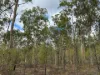 Lot 2, Belar Court, Millmerran Woods, Qld 4357-Image