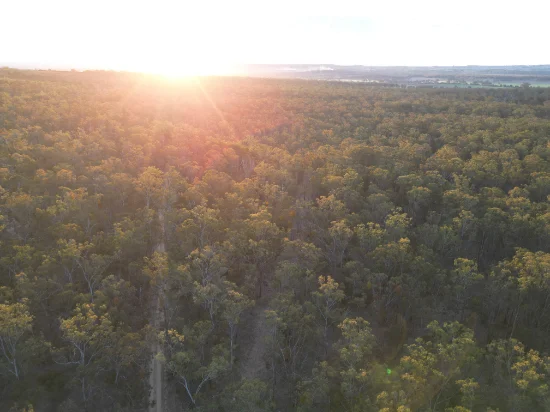 Lot 2 Boldery, Brooklands, Qld 4615