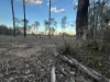 Lot 2 Boldery, Brooklands, Qld 4615-Image