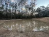 Lot 2 Boldery, Brooklands, Qld 4615-Image