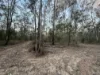 Lot 2 Boldery, Brooklands, Qld 4615-Image