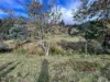 Lot 2 Eadies Lane, Franklin, Tas 7113-Image