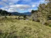 Lot 2 Eadies Lane, Franklin, Tas 7113-Image