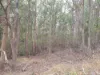 Lot 2 Eadies Lane, Franklin, Tas 7113-Image