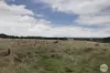 Lot 2, Egans Road, Mount Egerton, Vic 3352-Image