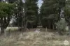 Lot 2, Egans Road, Mount Egerton, Vic 3352-Image