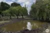 Lot 2, Egans Road, Mount Egerton, Vic 3352-Image