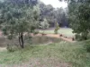 Lot 2 Forbes Road, Macedon, Vic 3440
