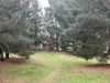Lot 2 Forbes Road, Macedon, Vic 3440-Image
