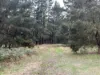 Lot 2 Forbes Road, Macedon, Vic 3440-Image