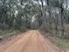 Lot 2 Forbes Road, Macedon, Vic 3440-Image