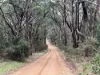 Lot 2 Forbes Road, Macedon, Vic 3440-Image
