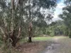 Lot 2 Forbes Road, Macedon, Vic 3440-Image