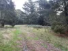 Lot 2 Forbes Road, Macedon, Vic 3440-Image