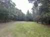 Lot 2 Forbes Road, Macedon, Vic 3440-Image