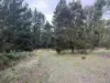 Lot 2 Forbes Road, Macedon, Vic 3440-Image