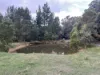 Lot 2 Forbes Road, Macedon, Vic 3440-Image