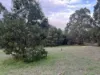 Lot 2 Forbes Road, Macedon, Vic 3440-Image