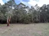 Lot 2 Forbes Road, Macedon, Vic 3440-Image