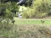 Lot 2 Forbes Road, Macedon, Vic 3440-Image