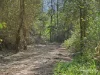 Lot 2 Gibsons Road, Coopernook, NSW 2426-Image